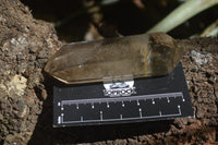 Polished Smokey Quartz Crystal Poiny-Prisms x 6 From Madagascar - Toprock Gemstones and Minerals 