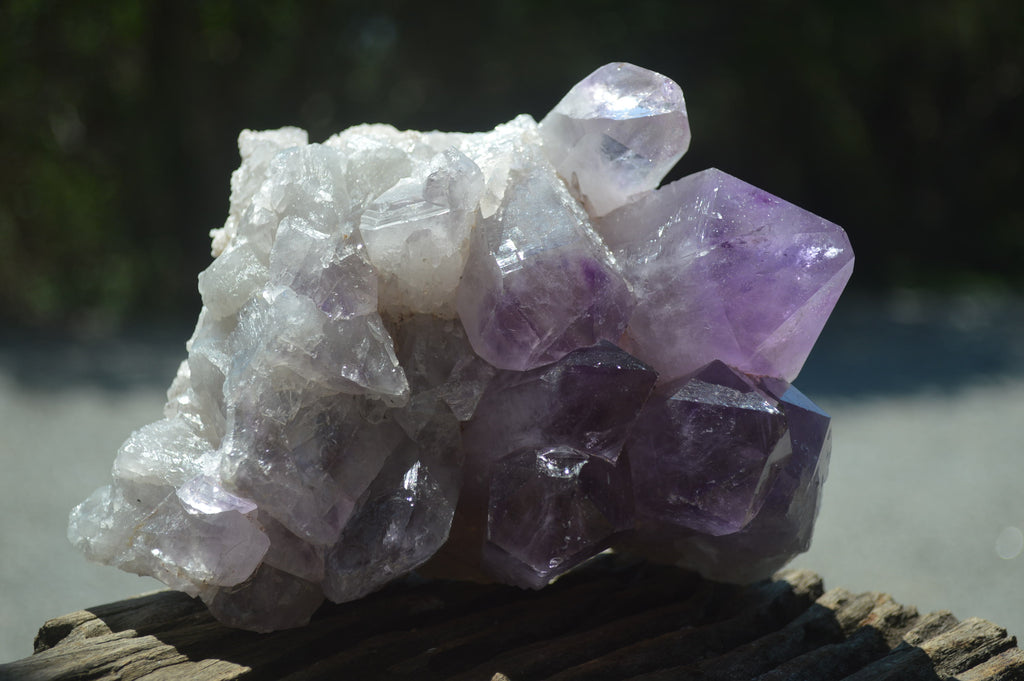 Natural Jacaranda Amethyst Quartz Clusters x 2 from Mumbwa, Zambia - Toprock Gemstones and Minerals 