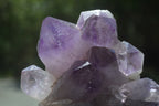 Natural Jacaranda Amethyst Quartz Clusters x 2 from Mumbwa, Zambia - Toprock Gemstones and Minerals 