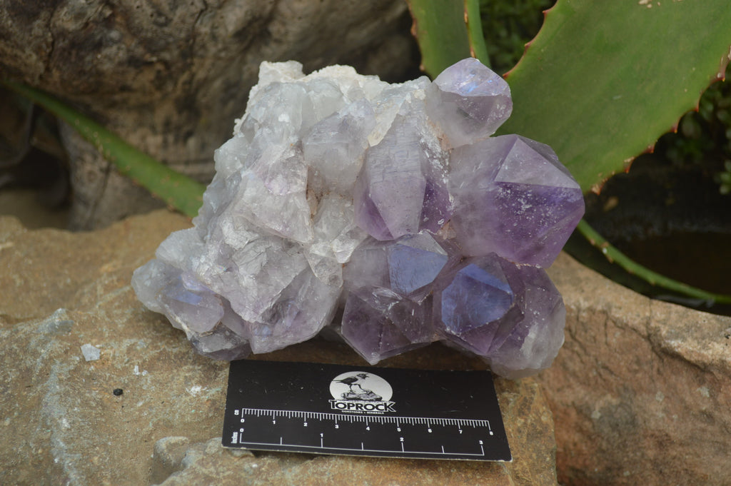 Natural Jacaranda Amethyst Quartz Clusters x 2 from Mumbwa, Zambia - Toprock Gemstones and Minerals 