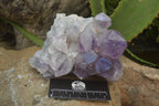 Natural Jacaranda Amethyst Quartz Clusters x 2 from Mumbwa, Zambia - Toprock Gemstones and Minerals 