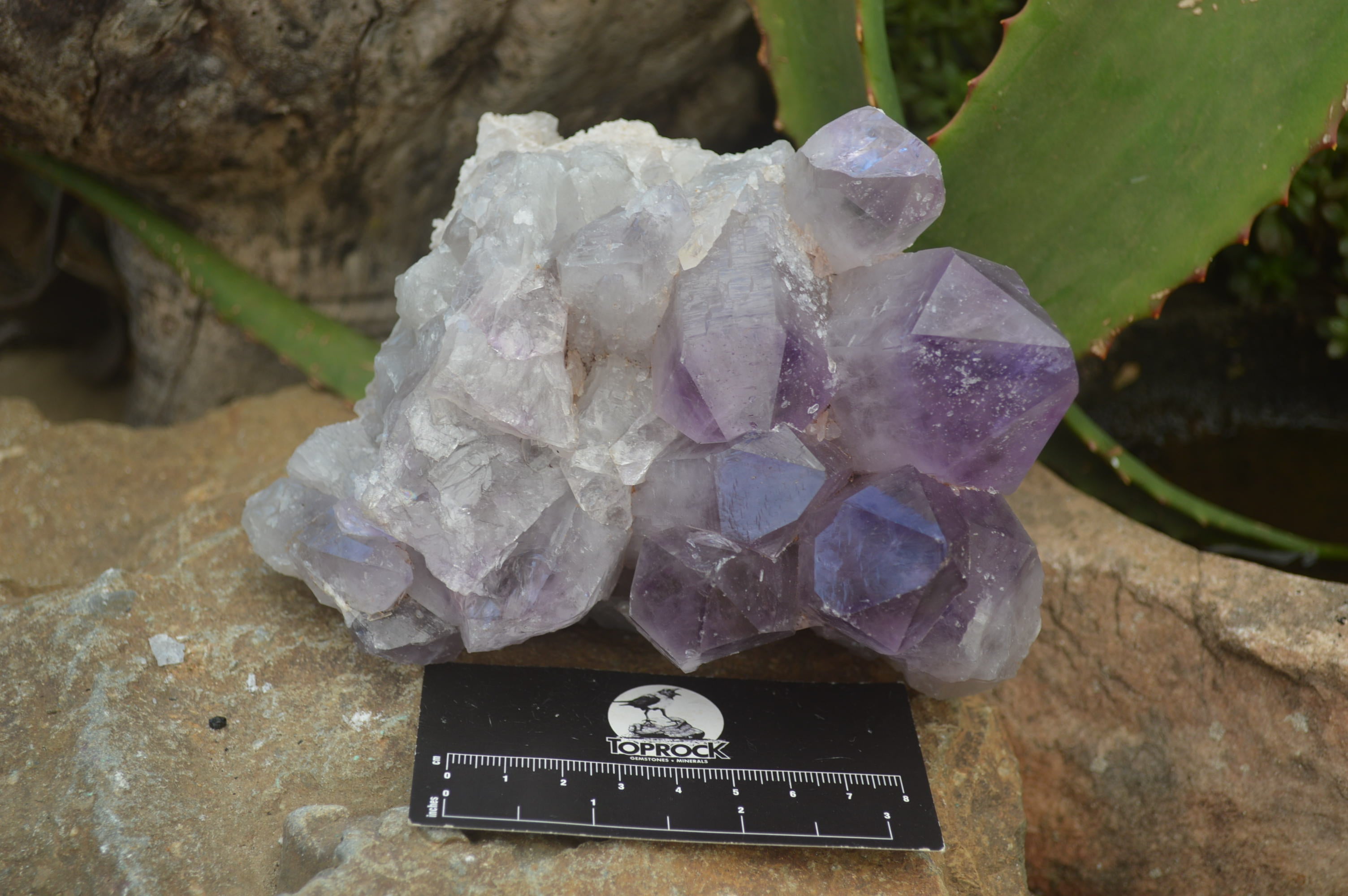 Natural Jacaranda Amethyst Quartz Clusters x 2 from Mumbwa, Zambia - Toprock Gemstones and Minerals 