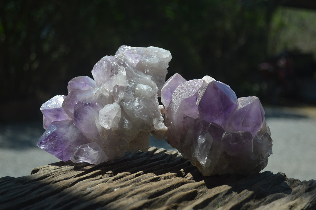 Natural Jacaranda Amethyst Quartz Clusters x 2 from Mumbwa, Zambia - Toprock Gemstones and Minerals 