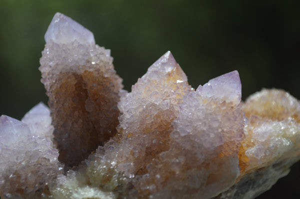 Natural Ametrine Spirit Quartz Clusters x 4 From Boekenhouthoek, South Africa
