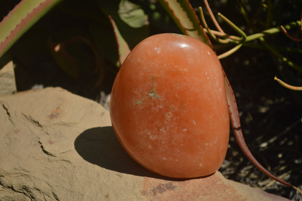 Polished Orange Twist Calcite Standing Free Forms x 2 From Maevantanana, Madagascar - Toprock Gemstones and Minerals 