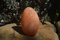 Polished Orange Twist Calcite Standing Free Forms x 2 From Maevantanana, Madagascar - Toprock Gemstones and Minerals 