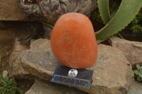 Polished Orange Twist Calcite Standing Free Forms x 2 From Maevantanana, Madagascar - Toprock Gemstones and Minerals 