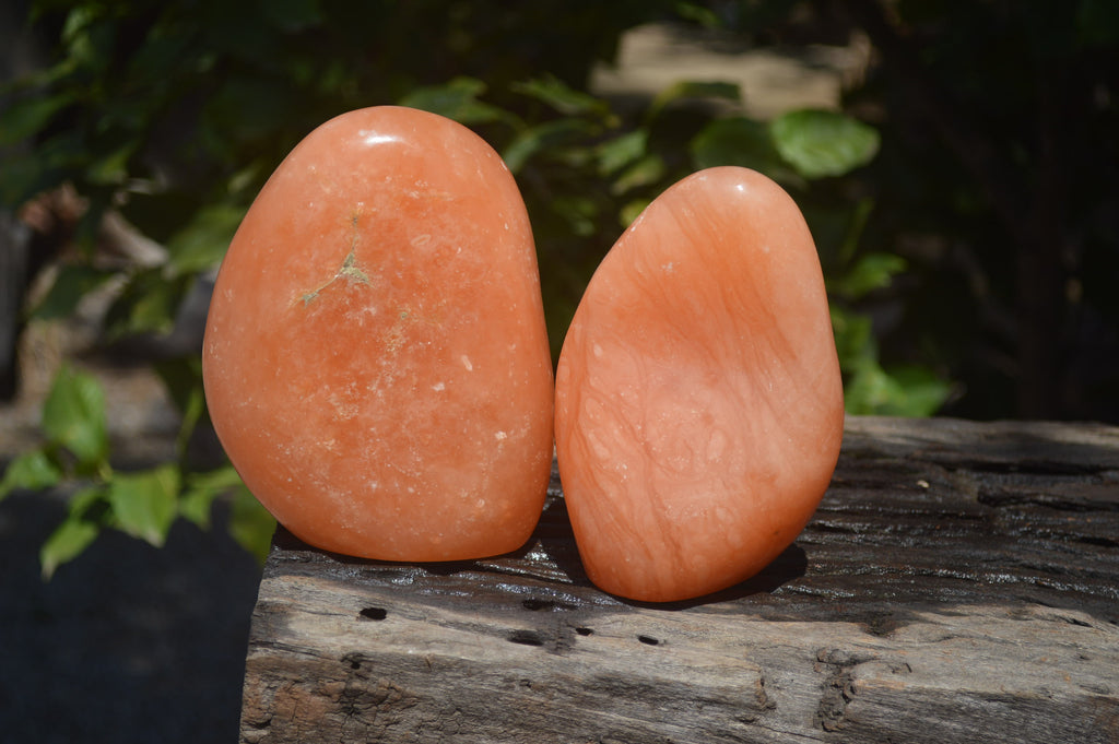 Polished Orange Twist Calcite Standing Free Forms x 2 From Maevantanana, Madagascar - Toprock Gemstones and Minerals 