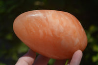Polished Orange Twist Calcite Standing Free Forms x 2 From Maevantanana, Madagascar - Toprock Gemstones and Minerals 