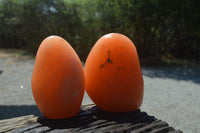 Polished Orange Twist Calcite Standing Free Forms x 2 From Maevantanana, Madagascar - Toprock Gemstones and Minerals 