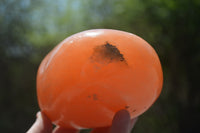 Polished Orange Twist Calcite Standing Free Forms x 2 From Maevantanana, Madagascar - Toprock Gemstones and Minerals 