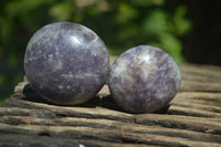 Polished Lepidolite One with Pink Rubellite Palm Stones x 24 From Ambatondrazaka, Madagascar - Toprock Gemstones and Minerals 