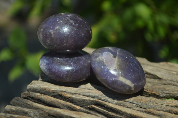 Polished Lepidolite One with Pink Rubellite Palm Stones x 24 From Ambatondrazaka, Madagascar - Toprock Gemstones and Minerals 