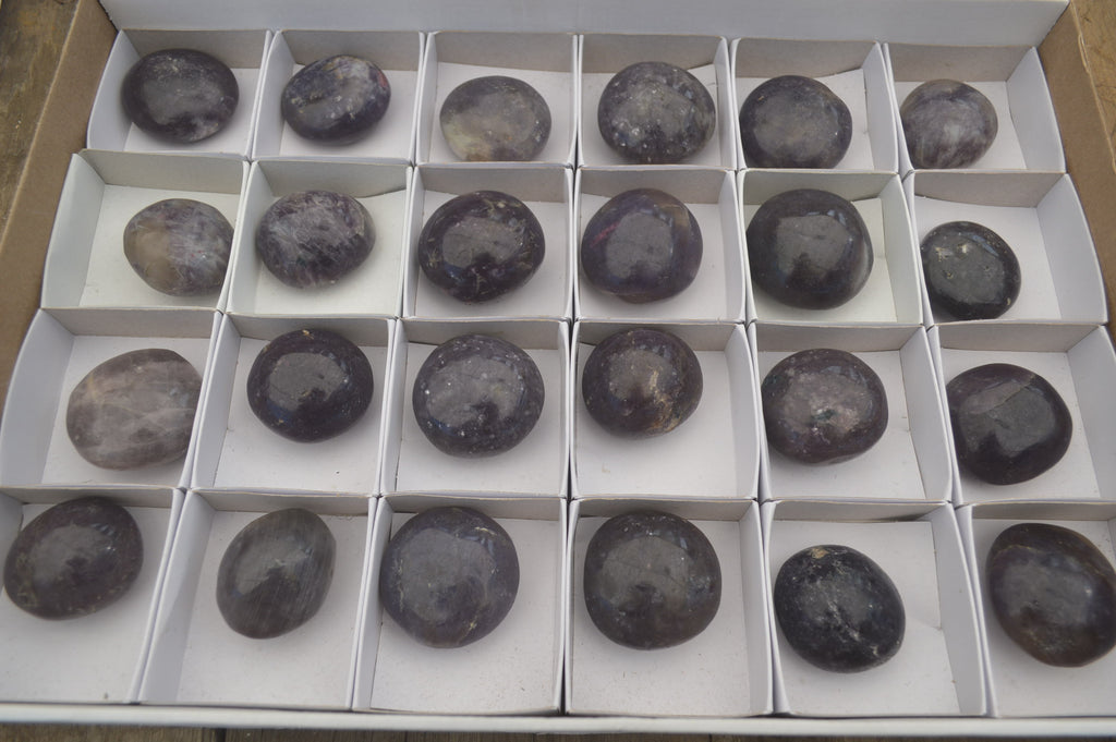 Polished Lepidolite One with Pink Rubellite Palm Stones x 24 From Ambatondrazaka, Madagascar - Toprock Gemstones and Minerals 