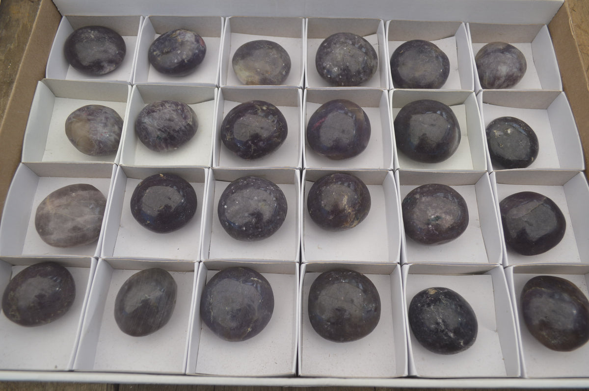 Polished Lepidolite One with Pink Rubellite Palm Stones x 24 From Ambatondrazaka, Madagascar - Toprock Gemstones and Minerals 