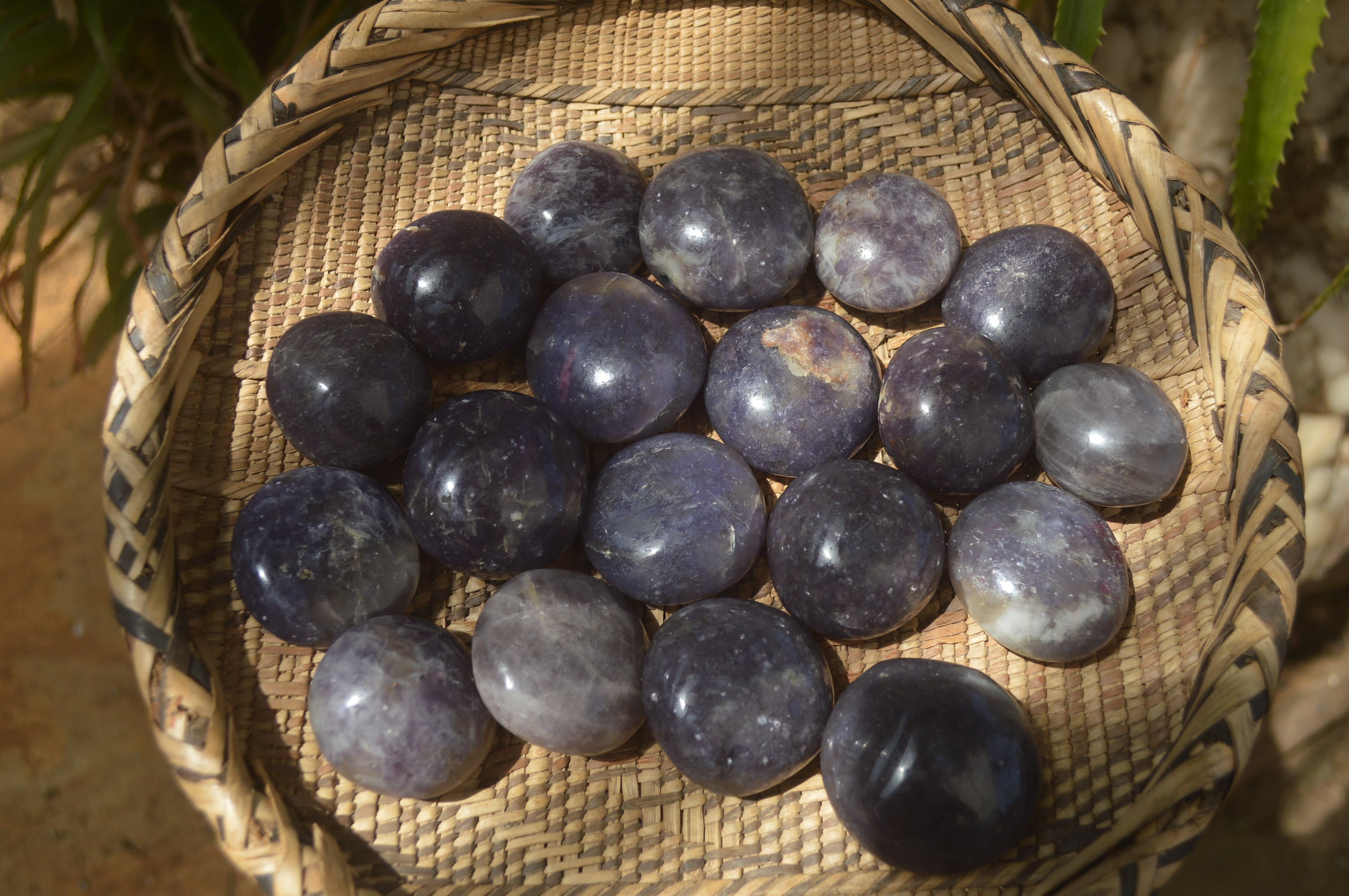 Polished Lepidolite One with Pink Rubellite Palm Stones x 24 From Ambatondrazaka, Madagascar - Toprock Gemstones and Minerals 