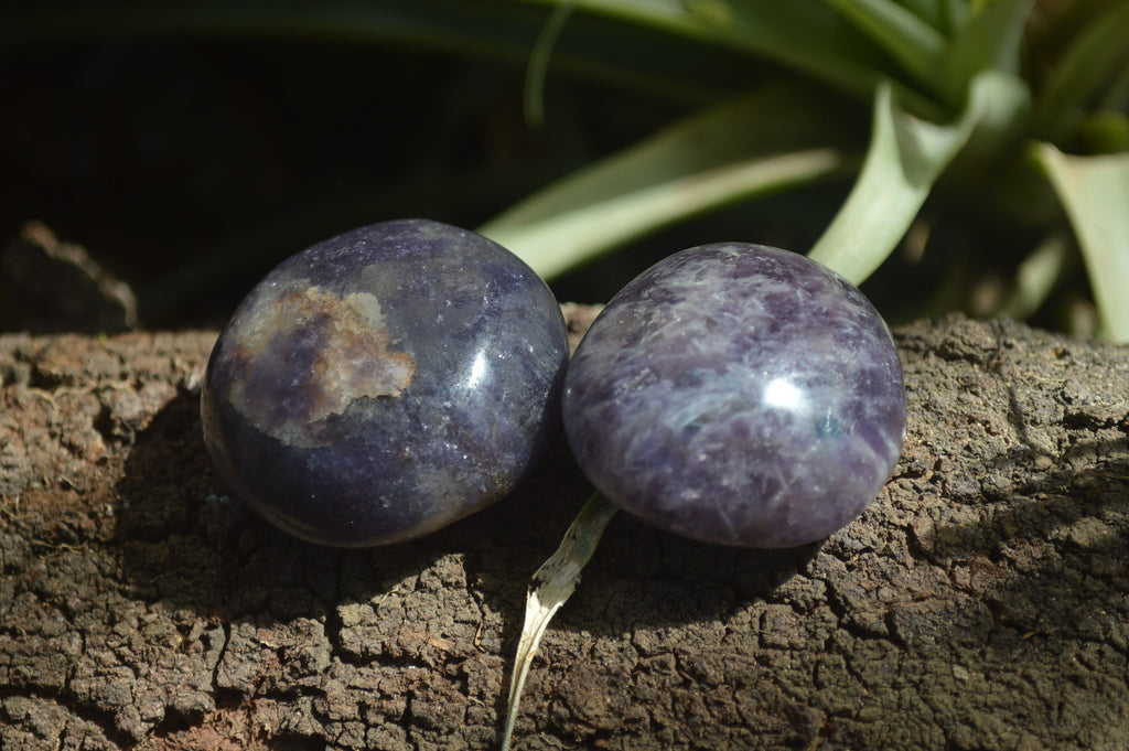 Polished Lepidolite One with Pink Rubellite Palm Stones x 24 From Ambatondrazaka, Madagascar - Toprock Gemstones and Minerals 