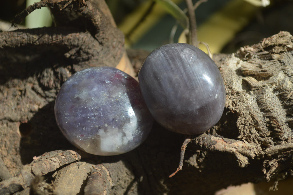 Polished Lepidolite One with Pink Rubellite Palm Stones x 24 From Ambatondrazaka, Madagascar - Toprock Gemstones and Minerals 