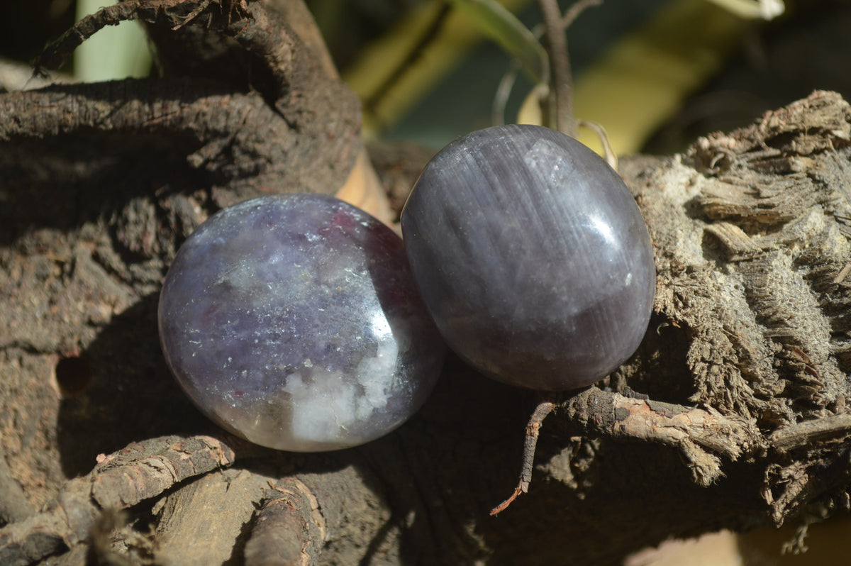 Polished Lepidolite One with Pink Rubellite Palm Stones x 24 From Ambatondrazaka, Madagascar - Toprock Gemstones and Minerals 