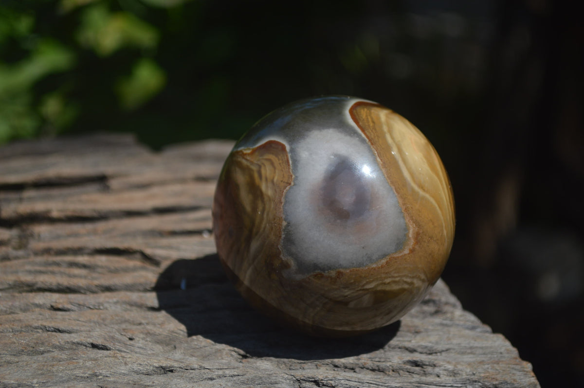 Polished Polychrome Jasper Spheres with Wooden Stands x 4 From Mahajanga, Madagascar - Toprock Gemstones and Minerals 