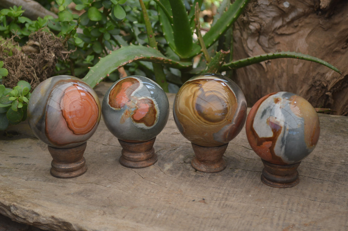 Polished Polychrome Jasper Spheres with Wooden Stands x 4 From Mahajanga, Madagascar - Toprock Gemstones and Minerals 
