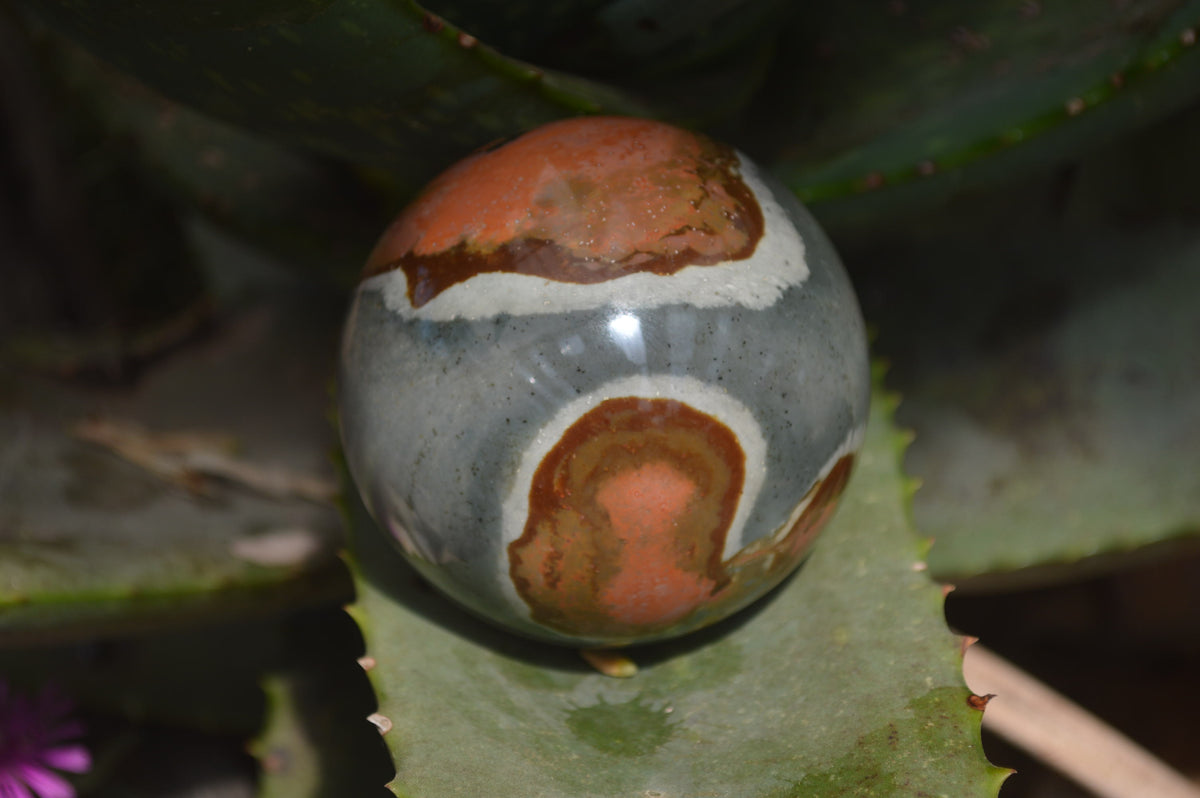 Polished Polychrome Jasper Spheres with Wooden Stands x 4 From Mahajanga, Madagascar - Toprock Gemstones and Minerals 