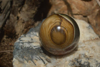Polished Polychrome Jasper Spheres with Wooden Stands x 4 From Mahajanga, Madagascar - Toprock Gemstones and Minerals 
