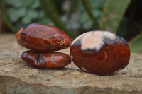 Polished Carnelian Galet-Palm Stones x 12 From Madagascar - Toprock Gemstones and Minerals 