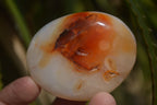 Polished Carnelian Galet-Palm Stones x 12 From Madagascar - Toprock Gemstones and Minerals 