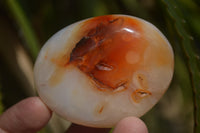 Polished Carnelian Galet-Palm Stones x 12 From Madagascar - Toprock Gemstones and Minerals 