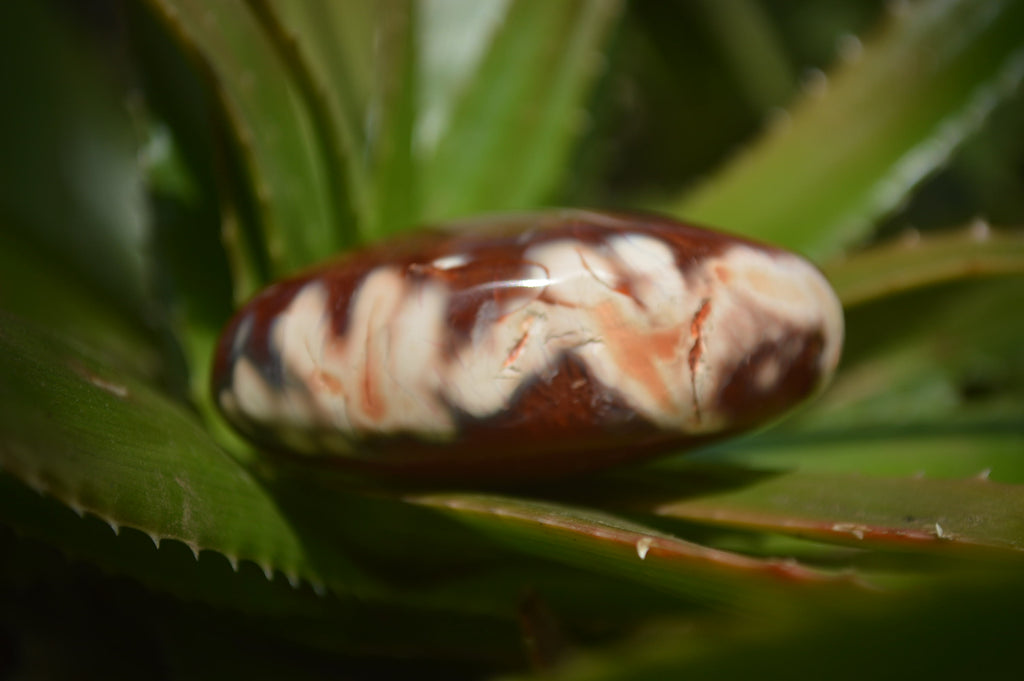 Polished Carnelian Galet-Palm Stones x 12 From Madagascar - Toprock Gemstones and Minerals 