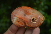 Polished Carnelian Galet-Palm Stones x 12 From Madagascar - Toprock Gemstones and Minerals 