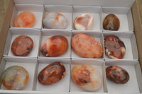 Polished Carnelian Galet-Palm Stones x 12 From Madagascar - Toprock Gemstones and Minerals 