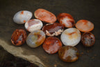 Polished Carnelian Galet-Palm Stones x 12 From Madagascar - Toprock Gemstones and Minerals 