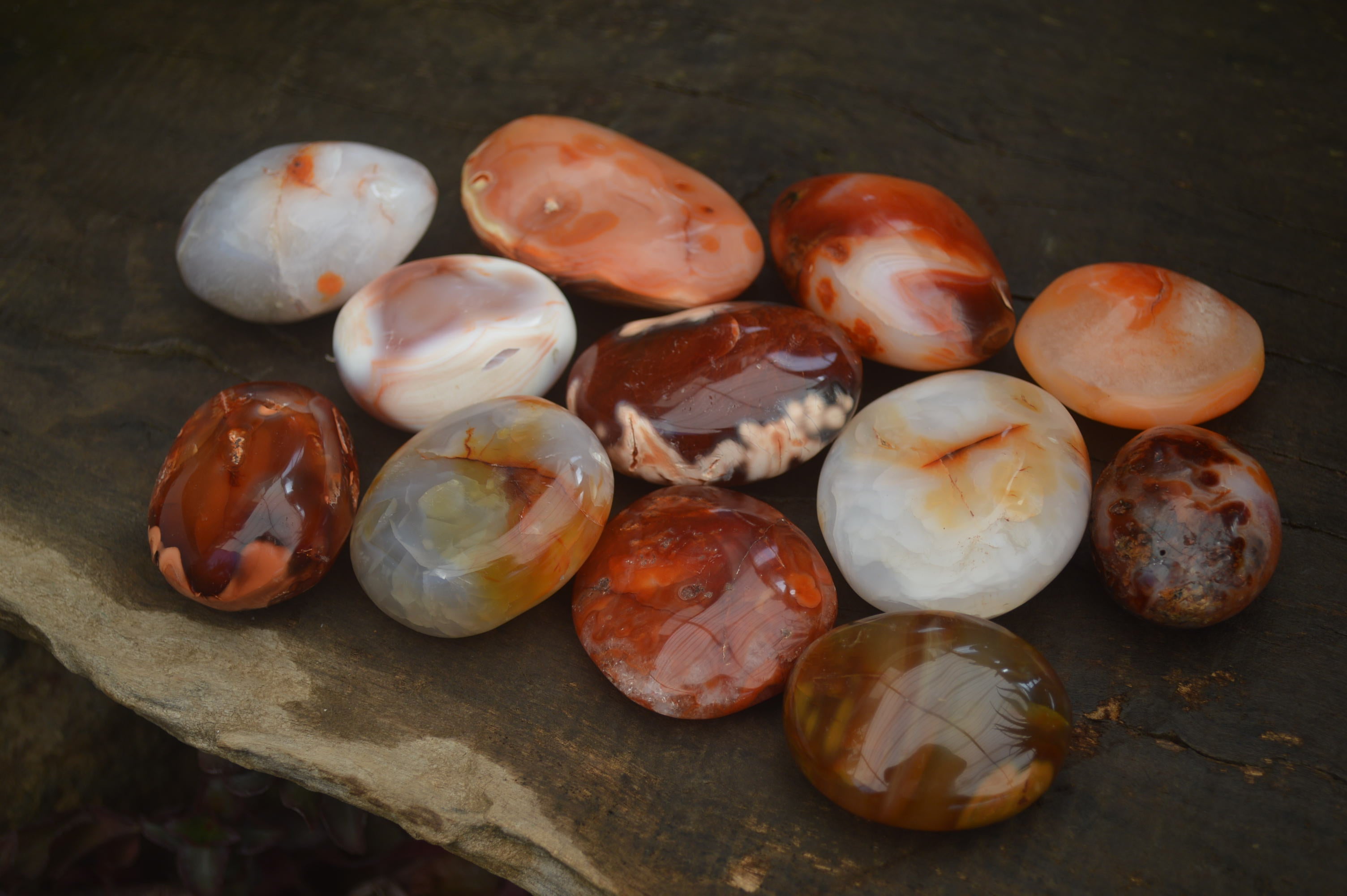 Polished Carnelian Galet-Palm Stones x 12 From Madagascar - Toprock Gemstones and Minerals 