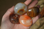 Polished Carnelian Galet-Palm Stones x 12 From Madagascar - Toprock Gemstones and Minerals 