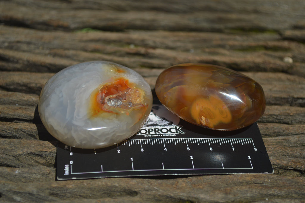 Polished Carnelian Galet-Palm Stones x 12 From Madagascar - Toprock Gemstones and Minerals 