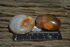 Polished Carnelian Galet-Palm Stones x 12 From Madagascar - Toprock Gemstones and Minerals 