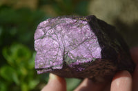 Natural Metallic Purpurite Cobbed Specimens x 6 From Erongo, Namibia - Toprock Gemstones and Minerals 