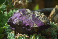 Natural Metallic Purpurite Cobbed Specimens x 6 From Erongo, Namibia - Toprock Gemstones and Minerals 