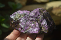 Natural Metallic Purpurite Cobbed Specimens x 6 From Erongo, Namibia - Toprock Gemstones and Minerals 