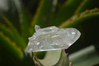 Natural Clear Quartz Crystals x 35 From Mpika, Zambia - Toprock Gemstones and Minerals 