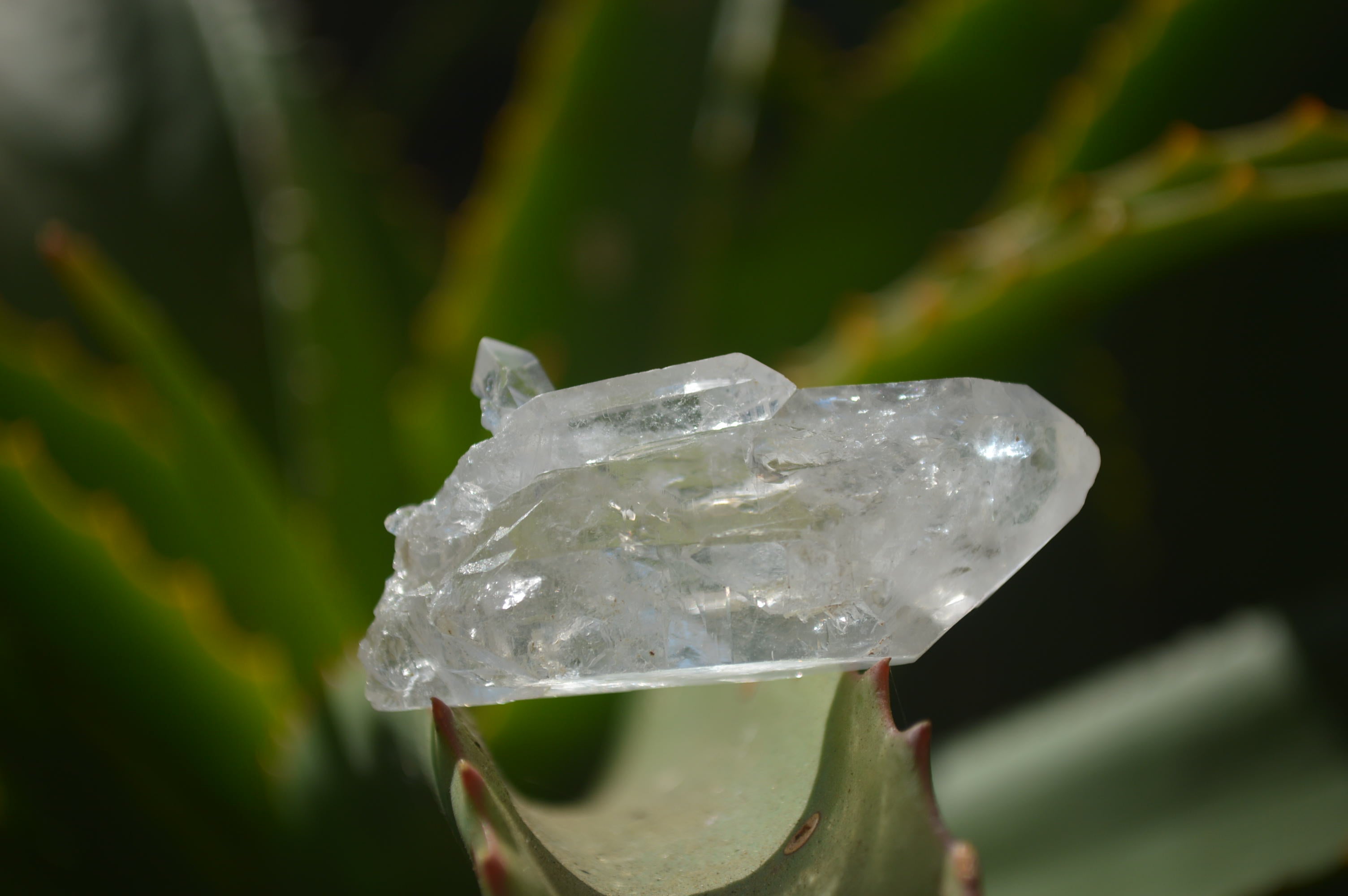 Natural Clear Quartz Crystals x 35 From Mpika, Zambia - Toprock Gemstones and Minerals 