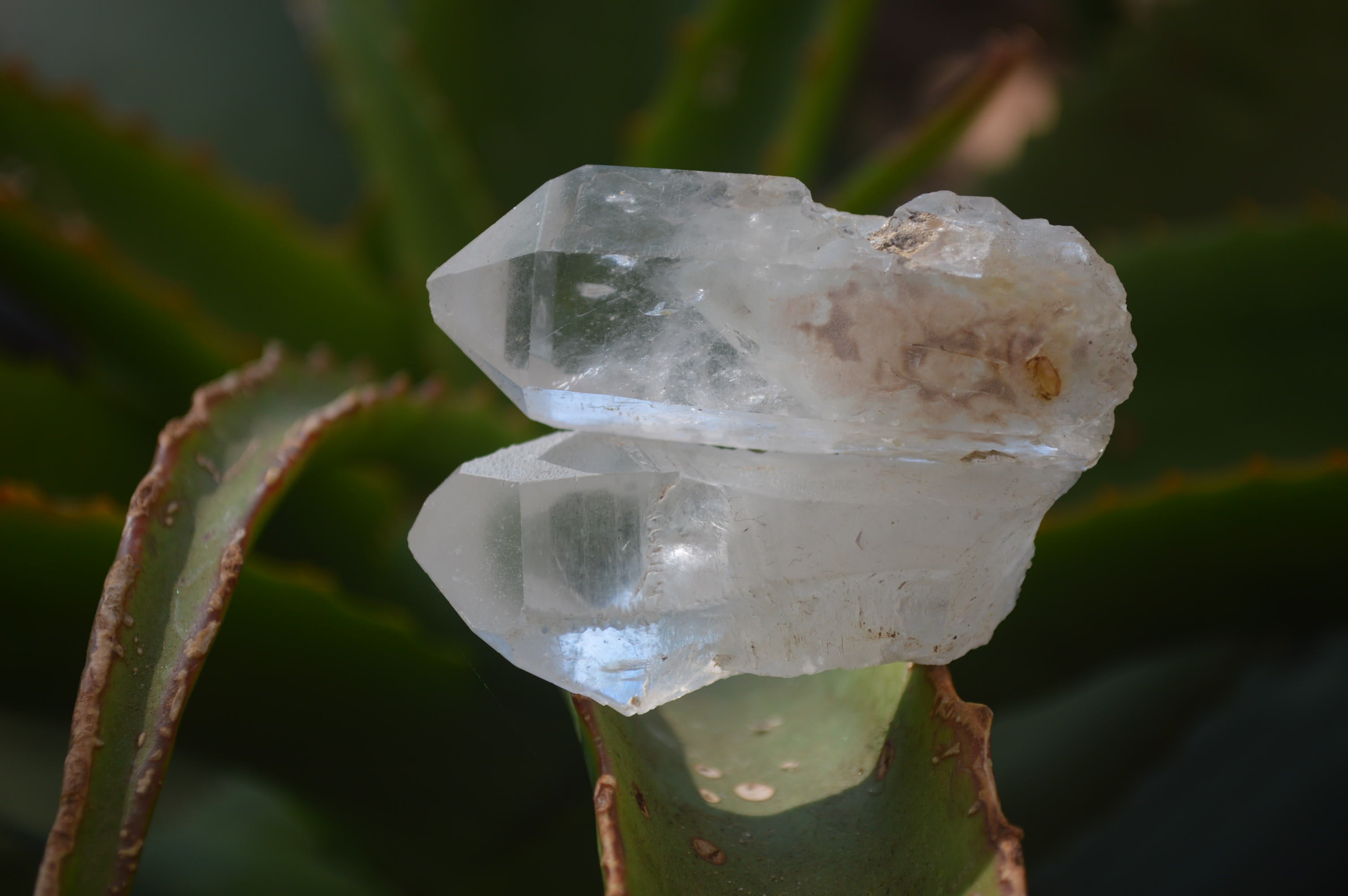 Natural Clear Quartz Crystals x 35 From Mpika, Zambia - Toprock Gemstones and Minerals 