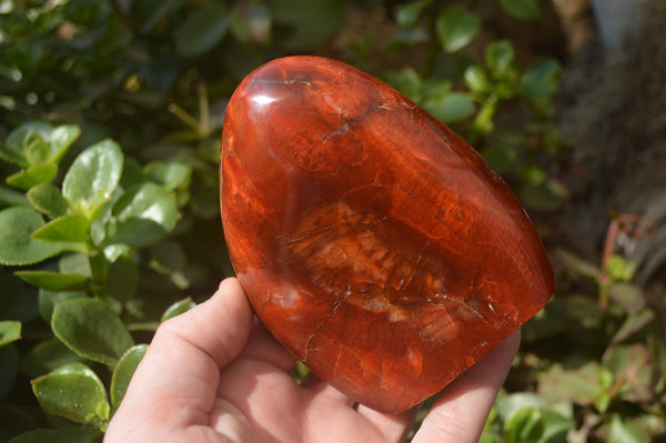 Polished Carnelian Standing Free Forms x 2 From Madagascar
