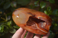 Polished Carnelian Standing Free Forms x 2 From Madagascar - Toprock Gemstones and Minerals 