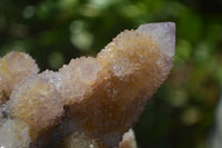 Natural Ametrine Spirit Quartz Clusters x 3 From Boekenhouthoek, South Africa