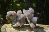 Natural Ametrine Spirit Quartz Clusters x 3 From Boekenhouthoek, South Africa