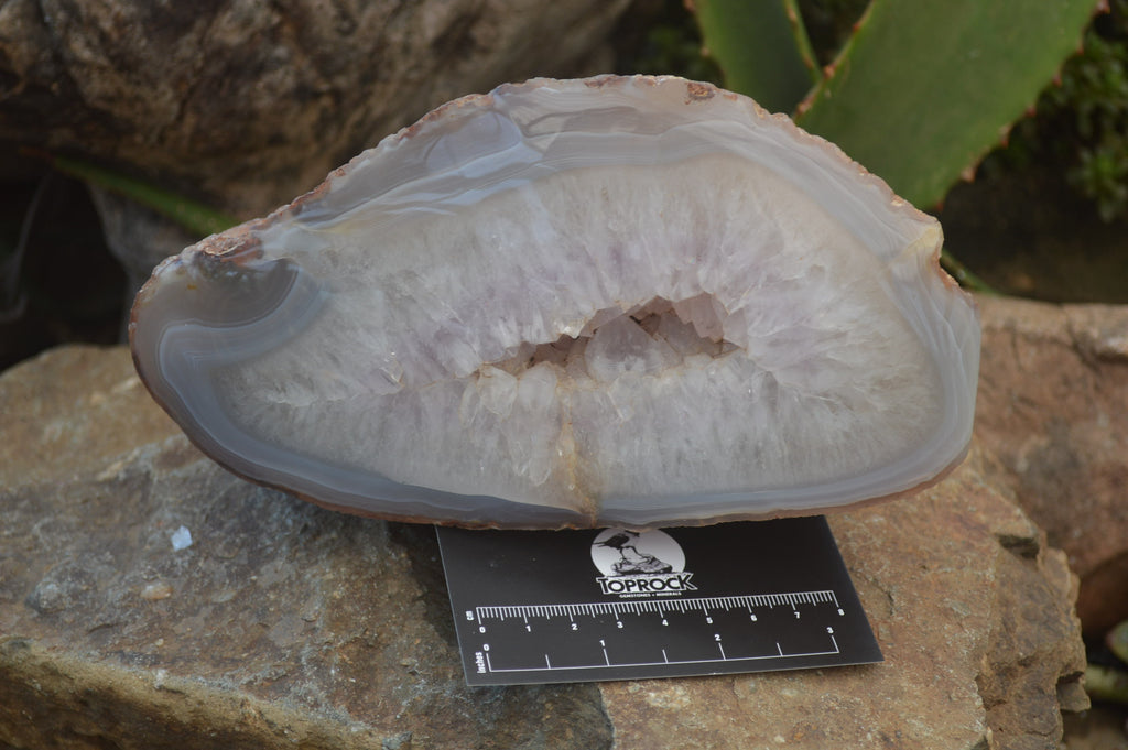Polished Amethyst Agate Geode x 1 From Madagascar - Toprock Gemstones and Minerals 