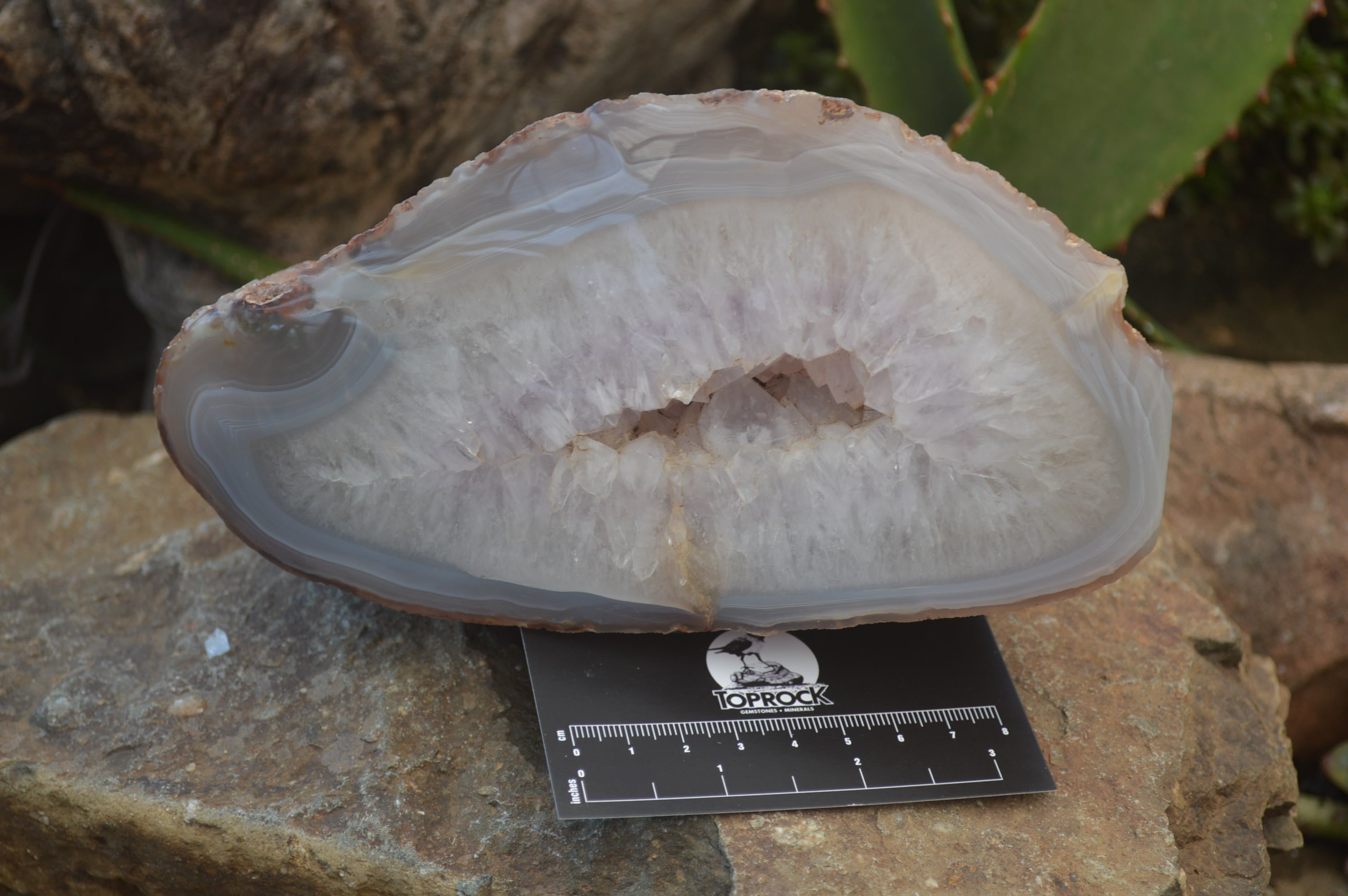 Polished Amethyst Agate Geode x 1 From Madagascar - Toprock Gemstones and Minerals 